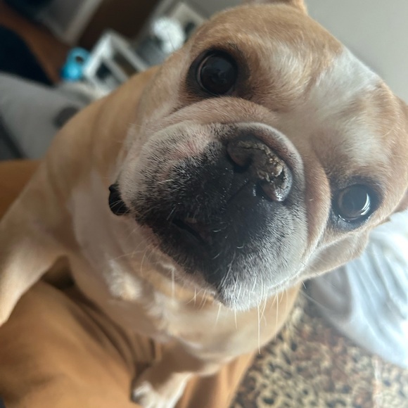 Meet your Posher, Dee - Picture 7 of 8